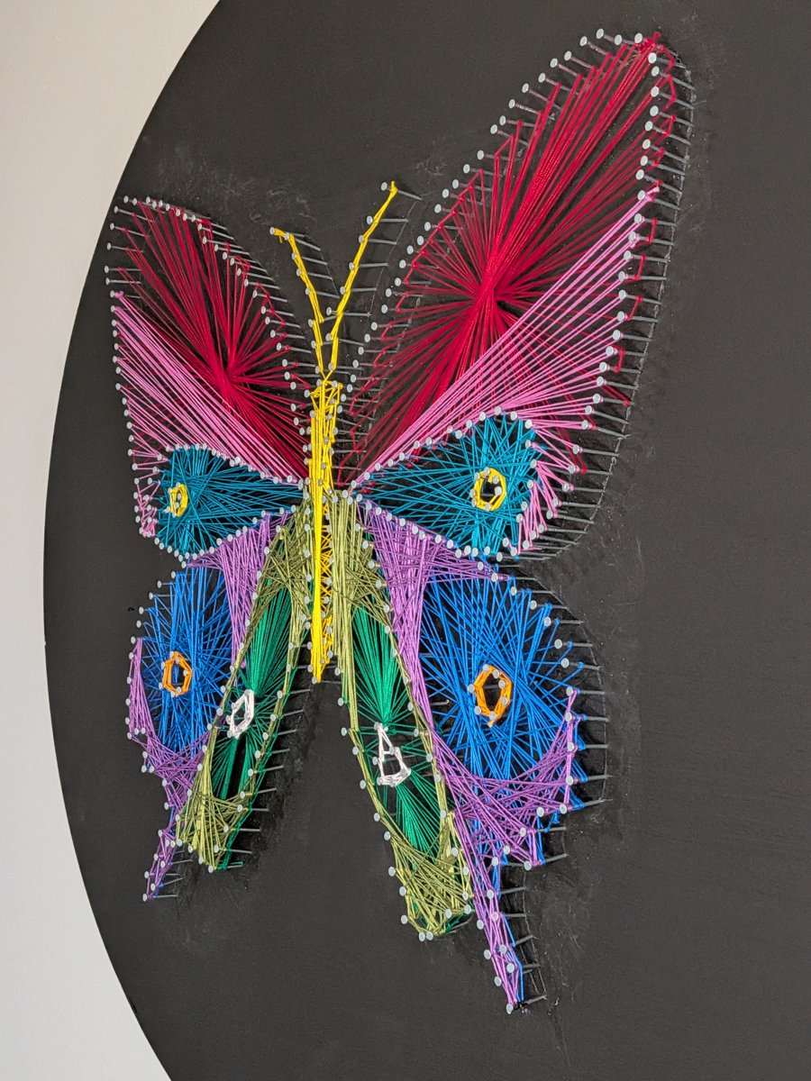 Butterfly